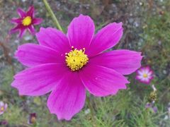 -遵化市禅林寺古银杏风景园