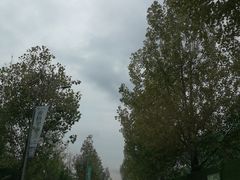 -仙海旅游度假区