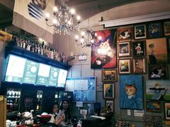 -猫咪博物馆(顶澳仔猫街店)