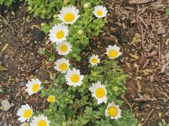 -中关村生命科学园