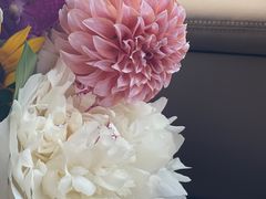 -花到家(富贵鸟花艺行)