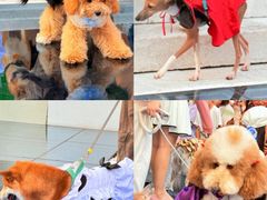 -华谊兄弟（长沙）电影小镇