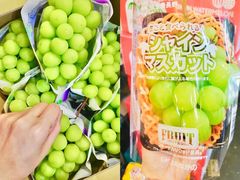 -油麻地果栏