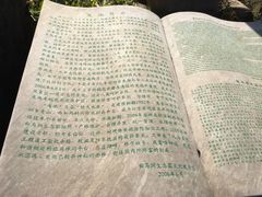 -白马涧龙池景区