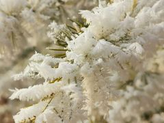 -天鹅湖生态旅游风景区