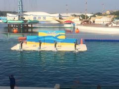 景点-秦皇岛乐岛海洋王国