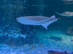 -沈阳海洋探索中心