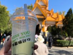 -云南勐巴娜西珍奇园