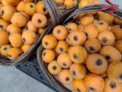 -桃源山庄·水蜜桃采摘·柴火鸡·烧烤团建(龙泉山店)