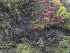 -望天鹅景区