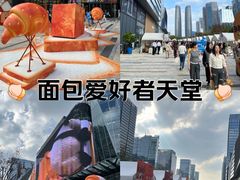 -合景·悠方(成都店)