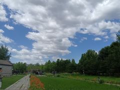 -北坞公园