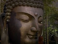 -杭州植物园