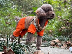 -桤木河湿地公园