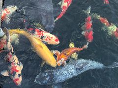 -水上明月·湖景餐厅