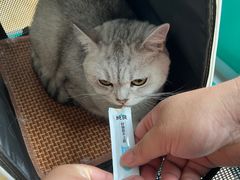 -宠颐生贝利健动物医院(谢家湾分院)
