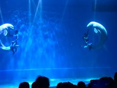 -芜湖新华联大白鲸海洋公园