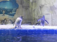 -华夏文旅海洋公园