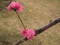 -白塘生态植物园