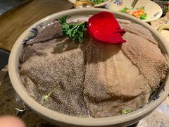 毛肚-小龙坎老火锅