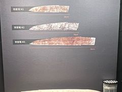 -盘龙城国家考古遗址公园