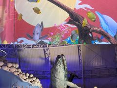 -烟台海昌鲸鲨海洋公园