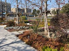 -春花秋色城市公园