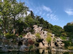 -红梅公园