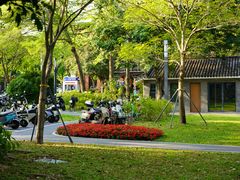-四海公园(南山区)