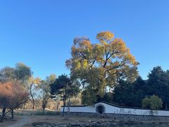 -承德避暑山庄景区