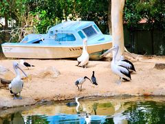 -费瑟代尔野生动物园