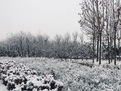 -蓟县盘山滑雪场