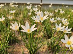 -星巴克(深圳前海企业公馆店)