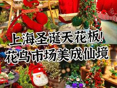 -瑞虹新天地月亮湾