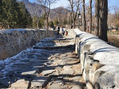 -阳台山自然风景区