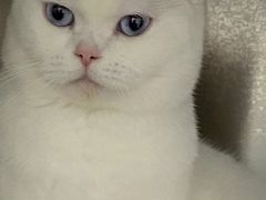 -佳雯宠物医院·皮肤科·内外科(春晓路分院)