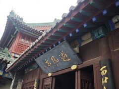 -蓬莱阁景区