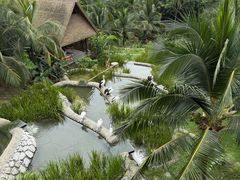 -新加坡飞禽公园