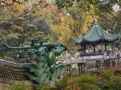 -申粤轩酒楼·三十年粤菜经典(丁香花园店)
