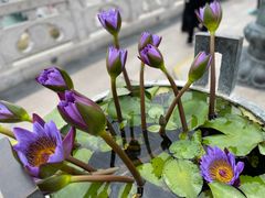 -三亚南山文化旅游区