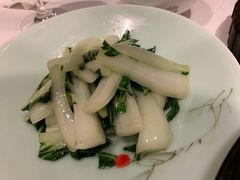 清炒奶白菜-松鹤楼·非遗·苏帮菜(融科店)