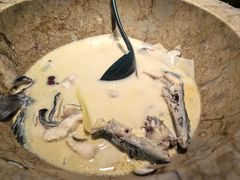 -云荷里·蒸汽石锅鱼·云南菜(中发百旺店)