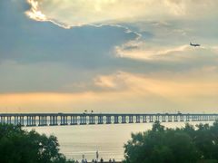 -宝安西湾红树林湿地公园