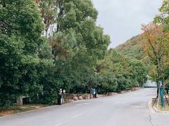 -宝岩生态观光园