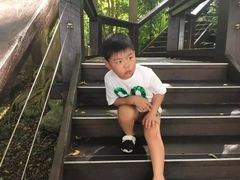 -布里斯班南岸公园