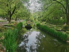 -上海共青森林公园