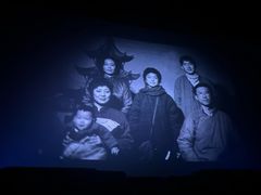 -临泉大地影城(大润发店)