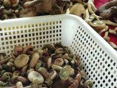 -野菌皇海景野生菌火锅(滨海大道店)