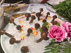 -禄婶鸡煲·打边炉