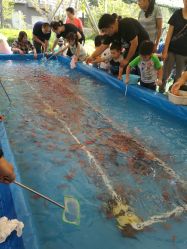 -萌宠亲子动物乐园(槐房万达店)